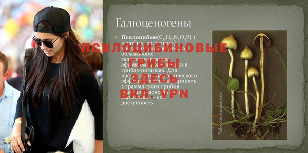твердый Белокуриха